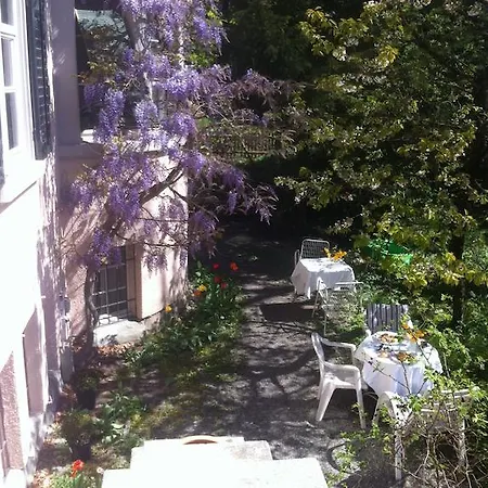 Garden Studio Apartment Zuerichberg Chambre photo