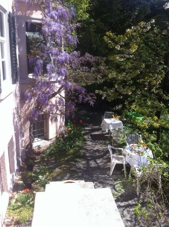 Garden Zürichberg Apartment *