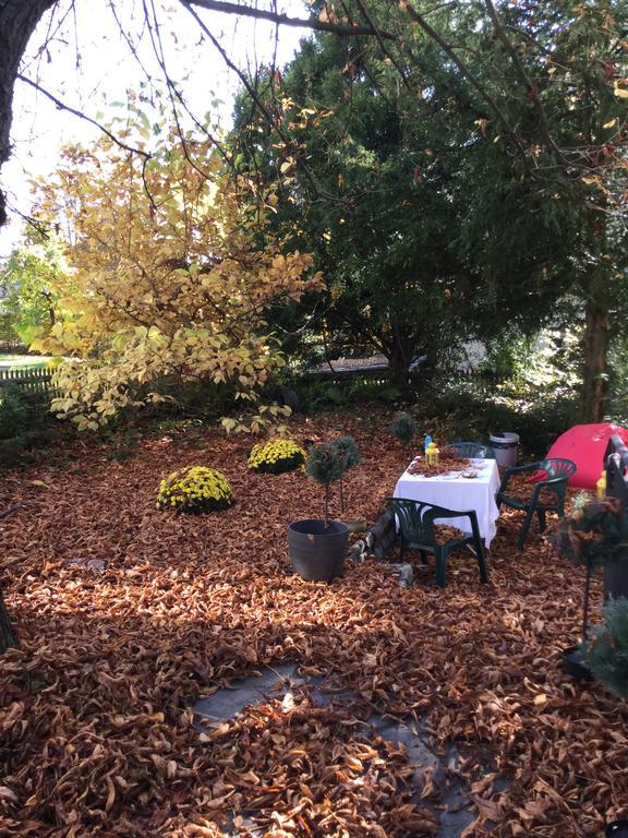 Garden Zürichberg Apartment