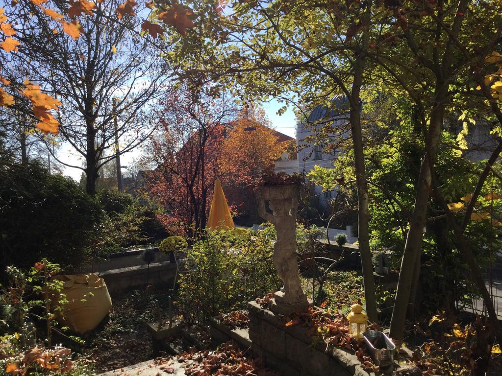 Garden Zürichberg