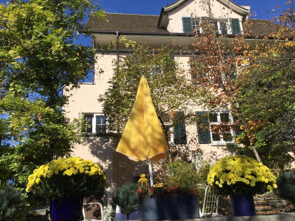 Garden Zürichberg